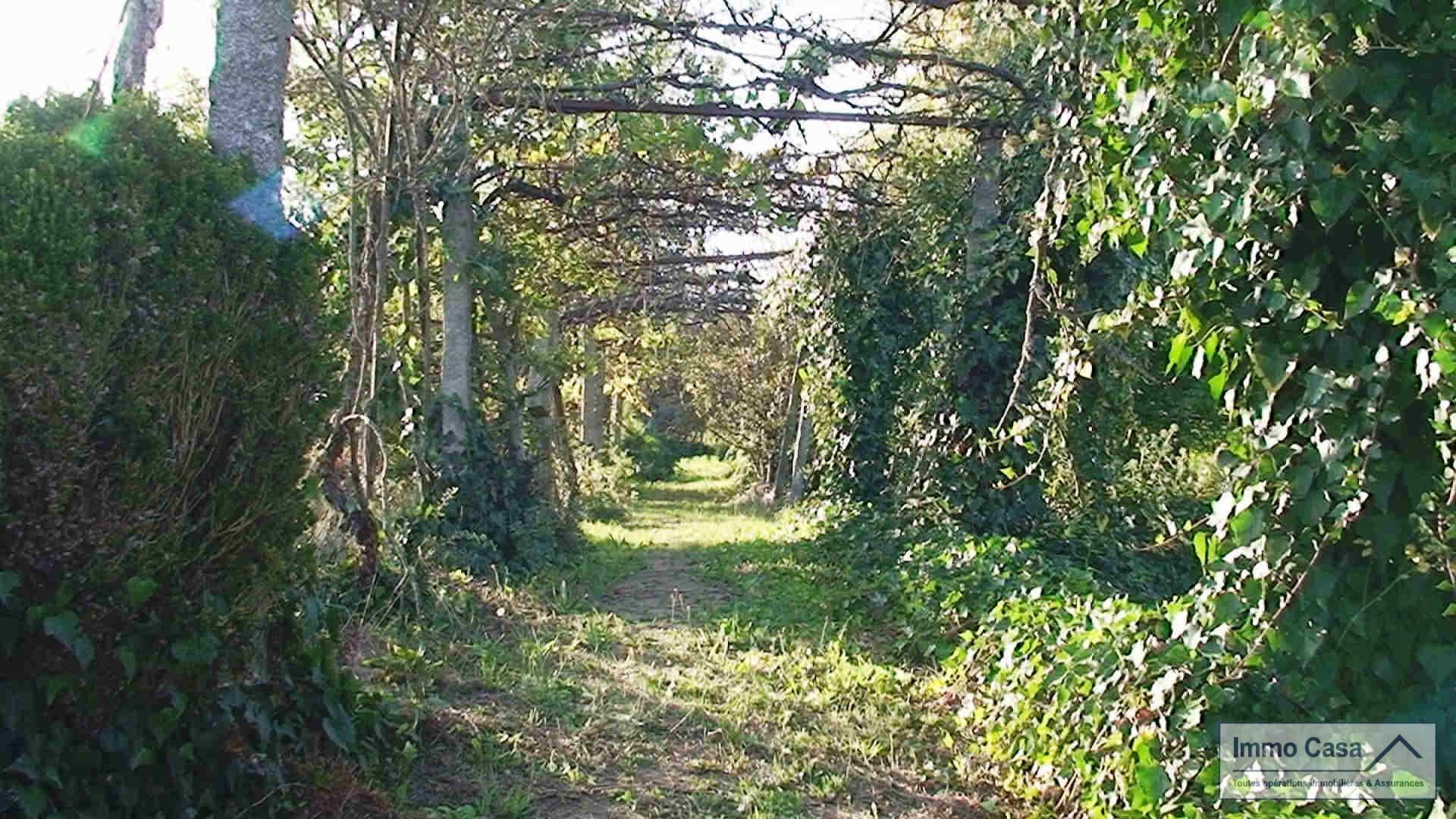 Image 13
